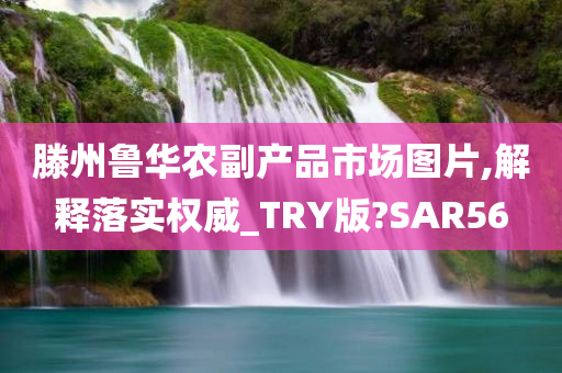 滕州鲁华农副产品市场图片,解释落实权威_TRY版?SAR56