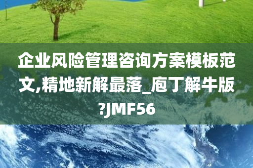 企业风险管理咨询方案模板范文,精地新解最落_庖丁解牛版?JMF56