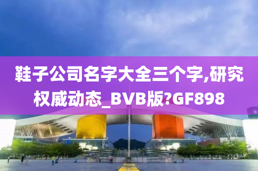 鞋子公司名字大全三个字,研究权威动态_BVB版?GF898