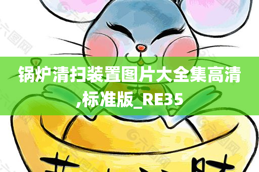 锅炉清扫装置图片大全集高清,标准版_RE35