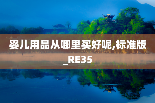 婴儿用品从哪里买好呢,标准版_RE35