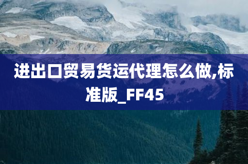 进出口贸易货运代理怎么做,标准版_FF45