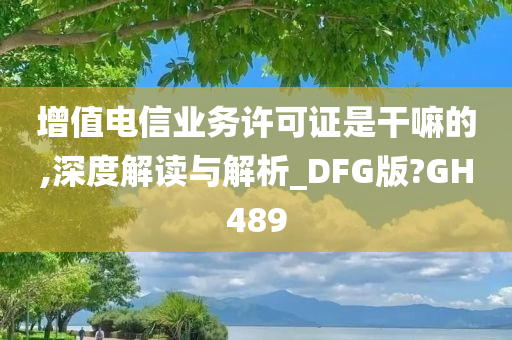 增值电信业务许可证是干嘛的,深度解读与解析_DFG版?GH489