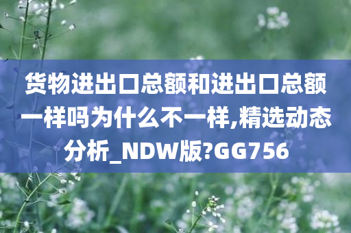 货物进出口总额和进出口总额一样吗为什么不一样,精选动态分析_NDW版?GG756