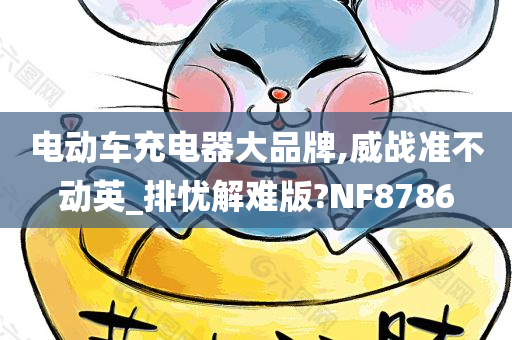 电动车充电器大品牌,威战准不动英_排忧解难版?NF8786