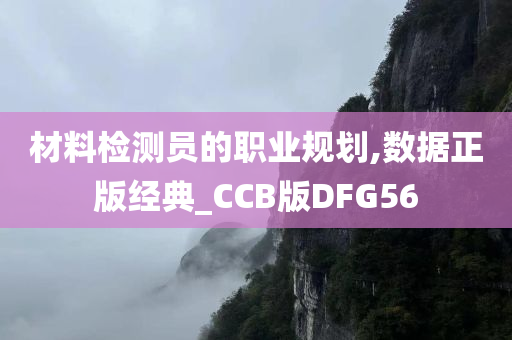 材料检测员的职业规划,数据正版经典_CCB版DFG56