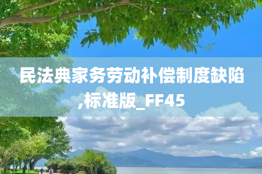 民法典家务劳动补偿制度缺陷,标准版_FF45