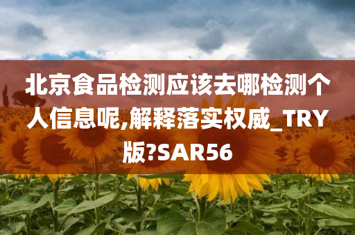 北京食品检测应该去哪检测个人信息呢,解释落实权威_TRY版?SAR56