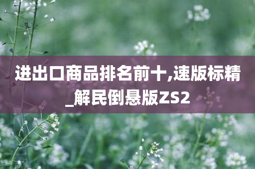 进出口商品排名前十,速版标精_解民倒悬版ZS2