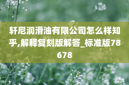 轩尼润滑油有限公司怎么样知乎,解释复刻版解答_标准版78678