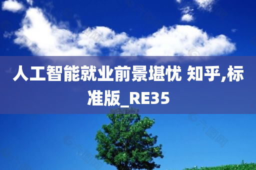 人工智能就业前景堪忧 知乎,标准版_RE35