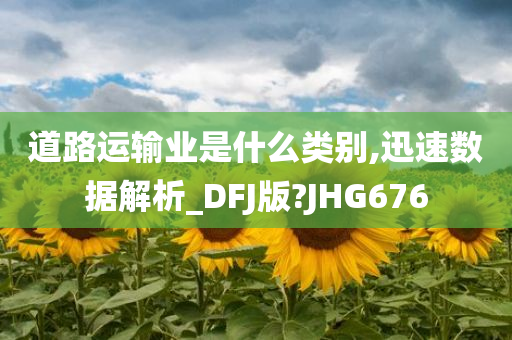 道路运输业是什么类别,迅速数据解析_DFJ版?JHG676