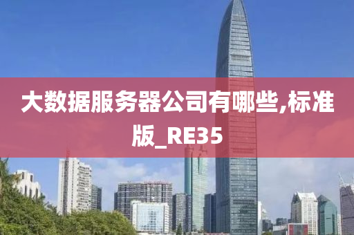 大数据服务器公司有哪些,标准版_RE35