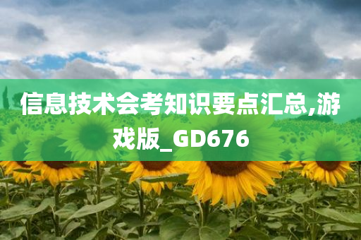 信息技术会考知识要点汇总,游戏版_GD676