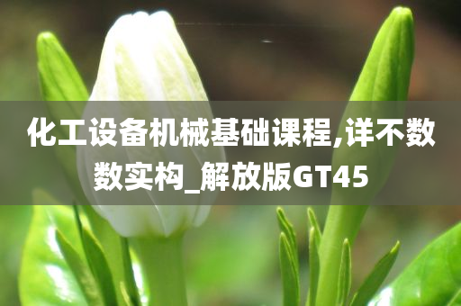 化工设备机械基础课程,详不数数实构_解放版GT45