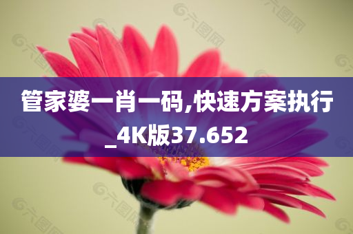 管家婆一肖一码,快速方案执行_4K版37.652