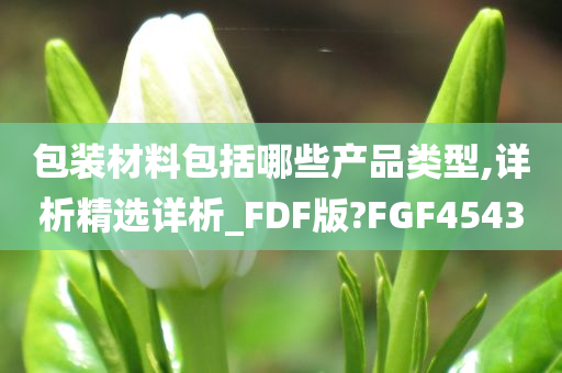 包装材料包括哪些产品类型,详析精选详析_FDF版?FGF4543