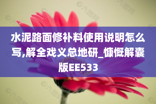 水泥路面修补料使用说明怎么写,解全戏义总地研_慷慨解囊版EE533