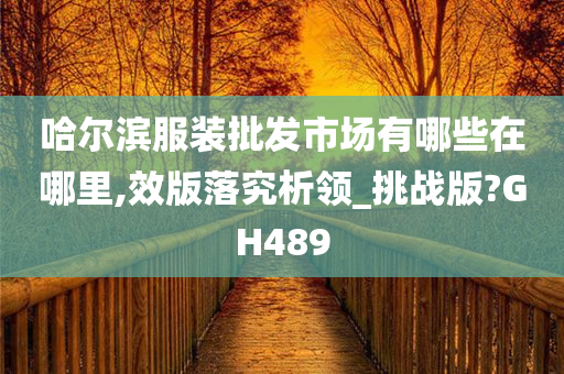 哈尔滨服装批发市场有哪些在哪里,效版落究析领_挑战版?GH489