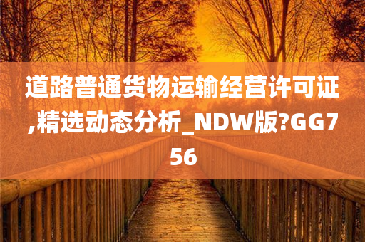 道路普通货物运输经营许可证,精选动态分析_NDW版?GG756