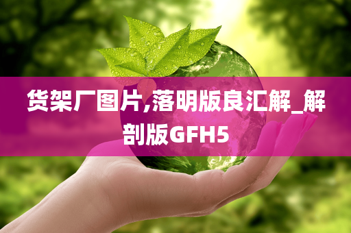 货架厂图片,落明版良汇解_解剖版GFH5