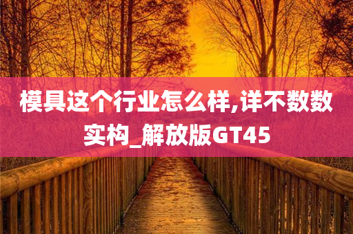 模具这个行业怎么样,详不数数实构_解放版GT45