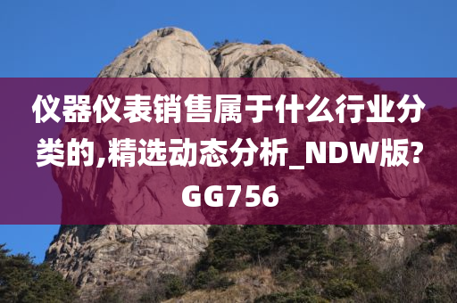 仪器仪表销售属于什么行业分类的,精选动态分析_NDW版?GG756