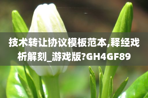 技术转让协议模板范本,释经戏析解刻_游戏版?GH4GF89