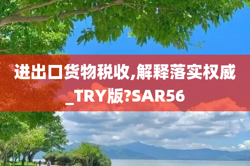 进出口货物税收,解释落实权威_TRY版?SAR56