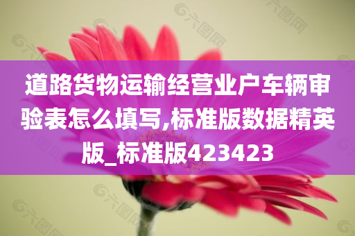 道路货物运输经营业户车辆审验表怎么填写,标准版数据精英版_标准版423423