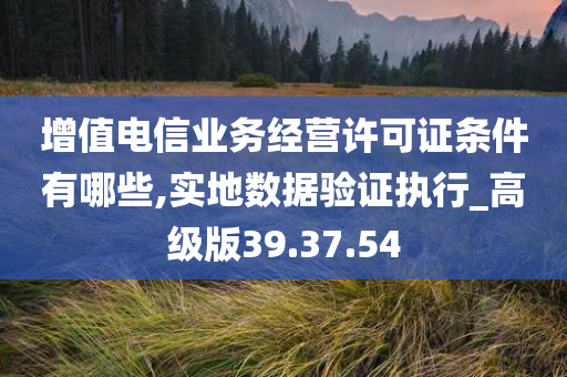 增值电信业务经营许可证条件有哪些,实地数据验证执行_高级版39.37.54