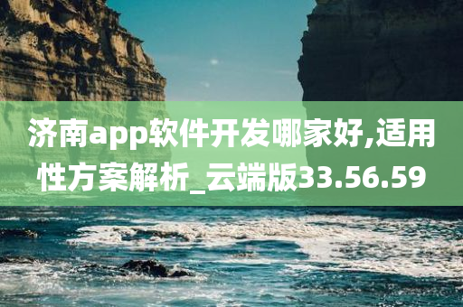 济南app软件开发哪家好,适用性方案解析_云端版33.56.59