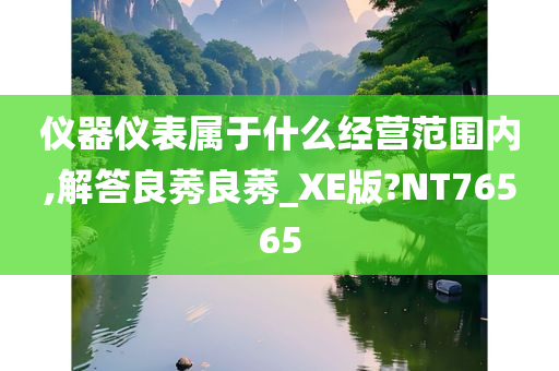 仪器仪表属于什么经营范围内,解答良莠良莠_XE版?NT76565