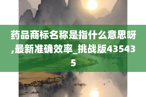 药品商标名称是指什么意思呀,最新准确效率_挑战版435435