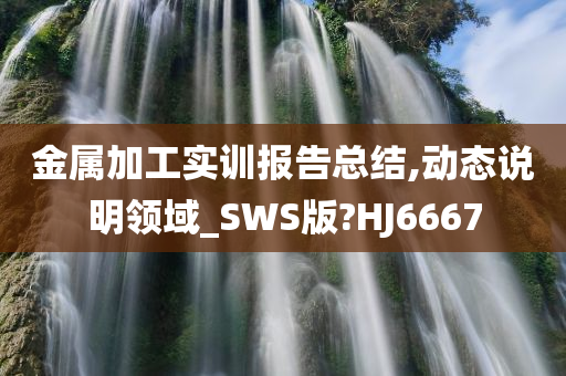 金属加工实训报告总结,动态说明领域_SWS版?HJ6667