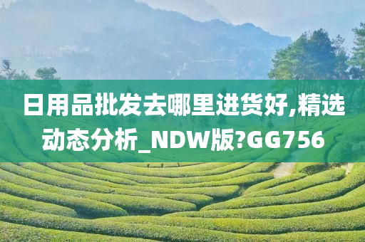 日用品批发去哪里进货好,精选动态分析_NDW版?GG756