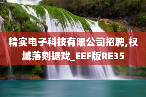 精实电子科技有限公司招聘,权域落刻据戏_EEF版RE35