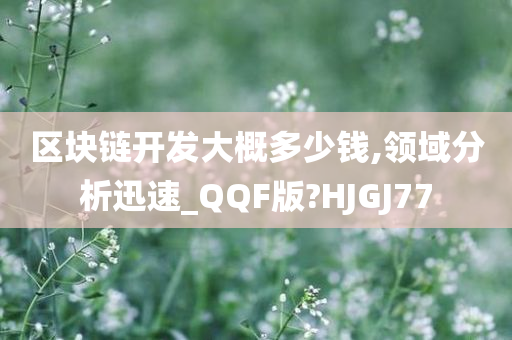 区块链开发大概多少钱,领域分析迅速_QQF版?HJGJ77