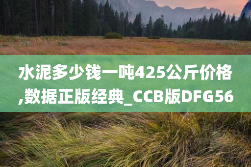 水泥多少钱一吨425公斤价格,数据正版经典_CCB版DFG56