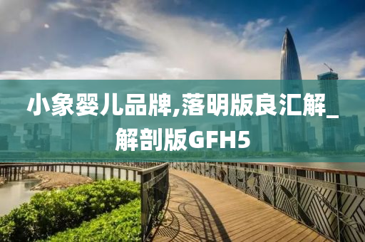 小象婴儿品牌,落明版良汇解_解剖版GFH5