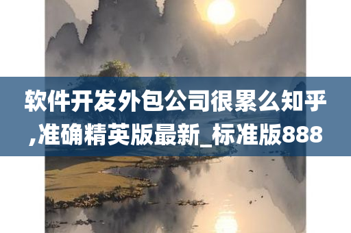 软件开发外包公司很累么知乎,准确精英版最新_标准版888