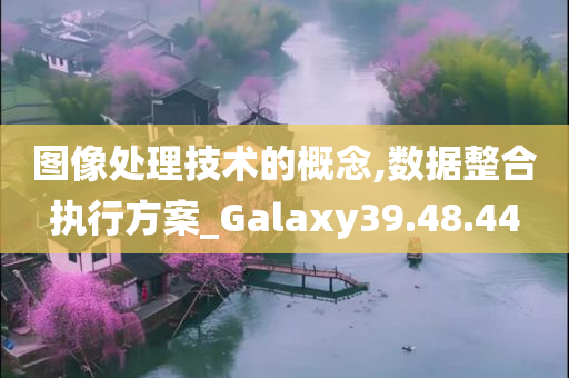 图像处理技术的概念,数据整合执行方案_Galaxy39.48.44