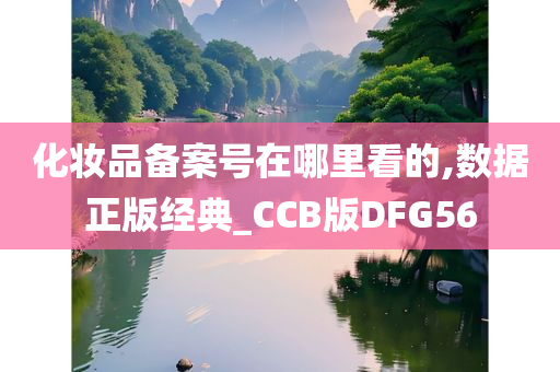 化妆品备案号在哪里看的,数据正版经典_CCB版DFG56