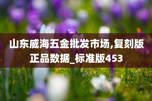 山东威海五金批发市场,复刻版正品数据_标准版453