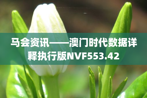 马会资讯——澳门时代数据详释执行版NVF553.42