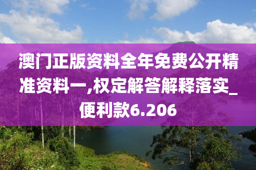 澳门正版资料全年免费公开精准资料一,权定解答解释落实_便利款6.206