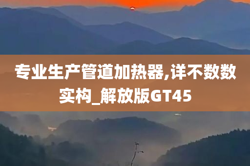 专业生产管道加热器,详不数数实构_解放版GT45