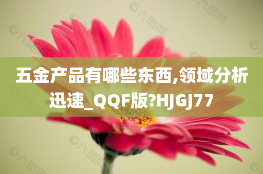 五金产品有哪些东西,领域分析迅速_QQF版?HJGJ77