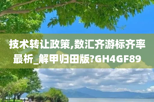 技术转让政策,数汇齐游标齐率最析_解甲归田版?GH4GF89