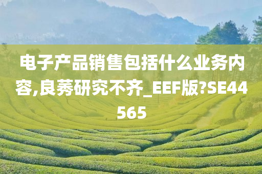 电子产品销售包括什么业务内容,良莠研究不齐_EEF版?SE44565